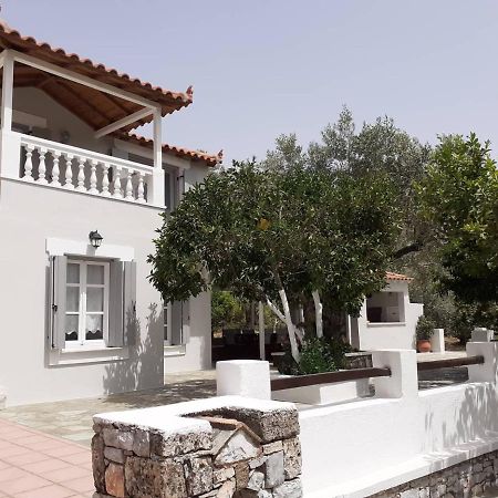 Villa Tillia Panormos  Ngoại thất bức ảnh