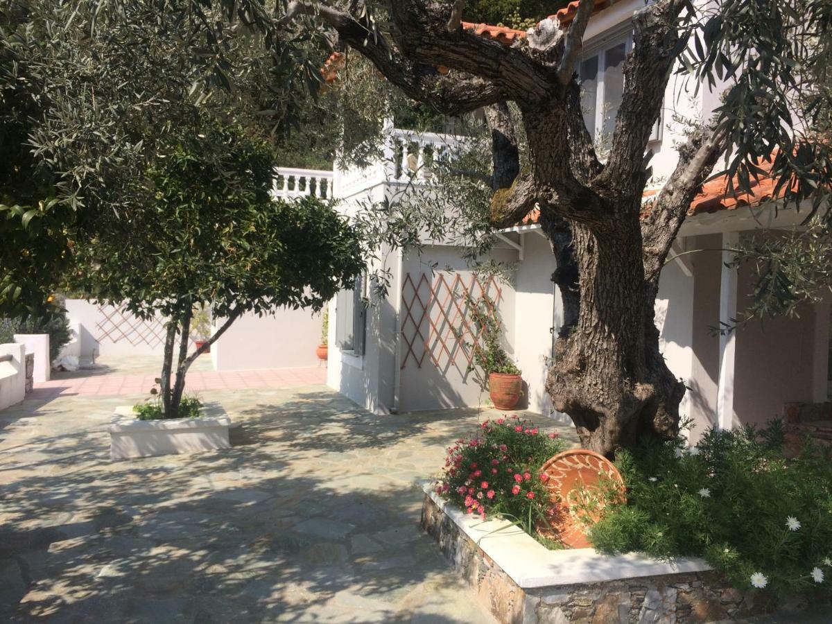 Villa Tillia Panormos  Ngoại thất bức ảnh