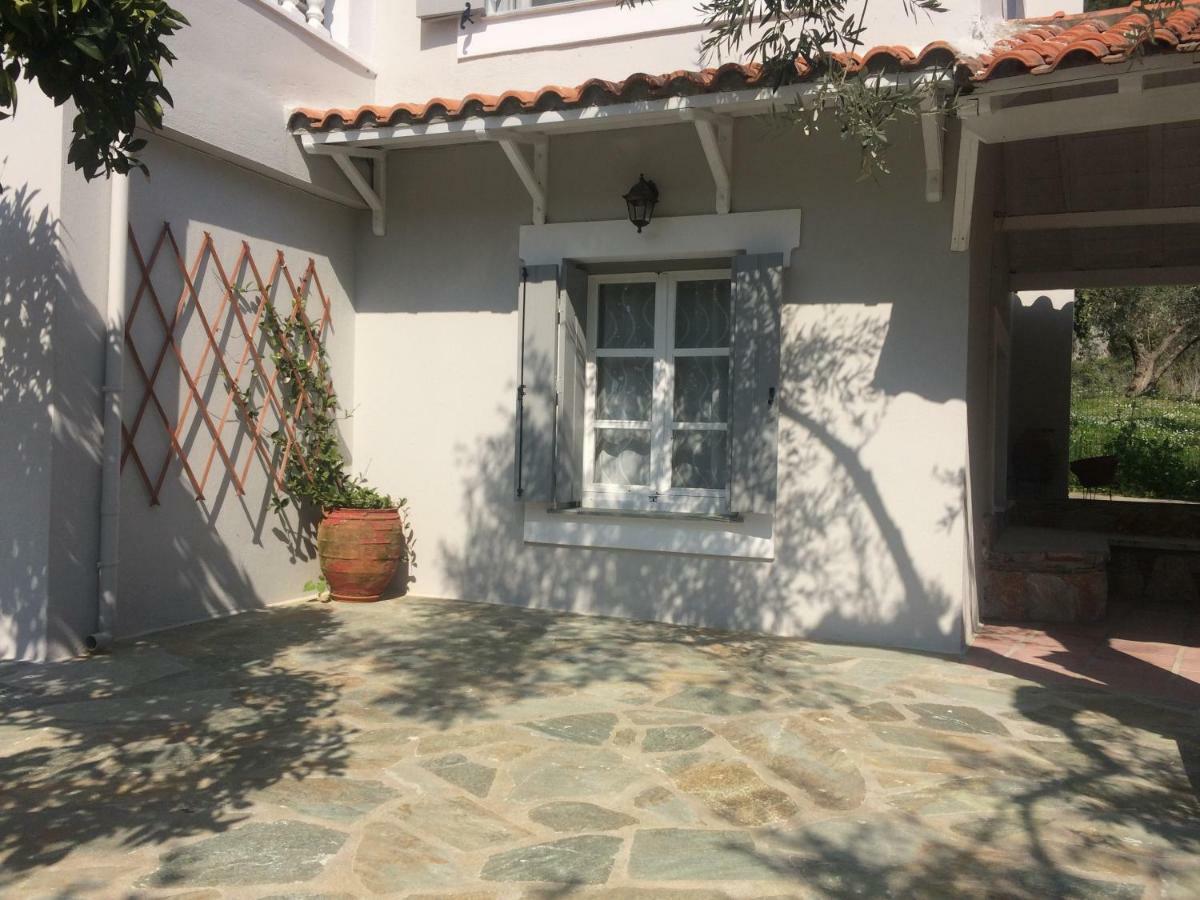 Villa Tillia Panormos  Ngoại thất bức ảnh